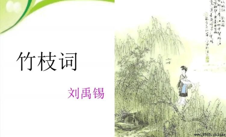 蘆筍主要產地在哪裡？山東單縣白蘆筍最佳