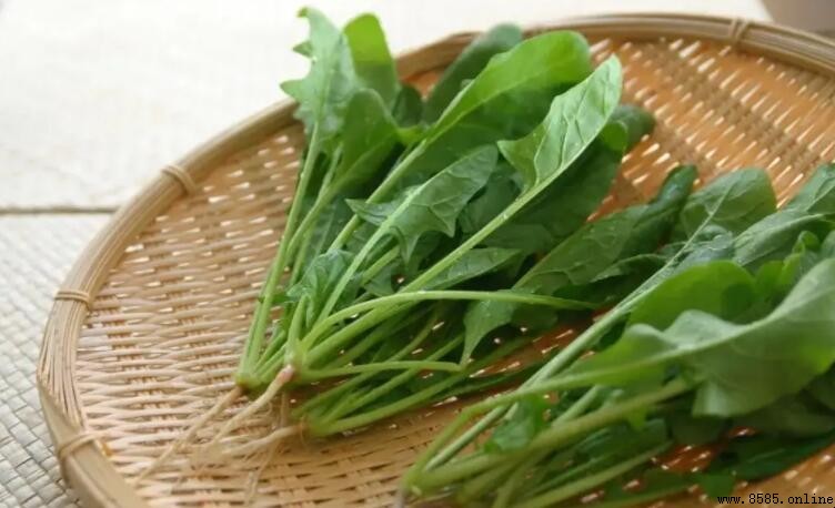 雞肉與菠菜能一起吃嗎？營養效益與食用建議