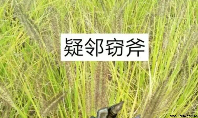 疑邻盗斧告诉我们的道理