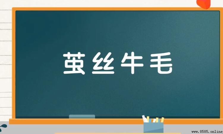 繭絲牛毛的含義與用法