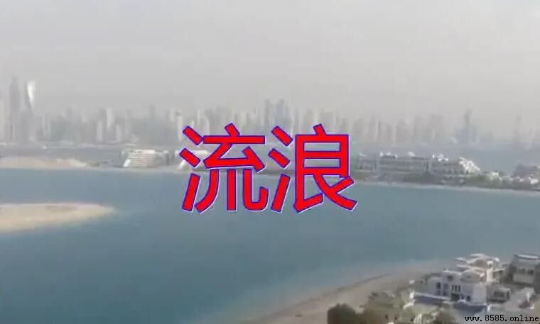 《流浪》歌詞 - 汪峰《生無所求》專輯詞句