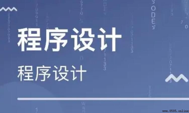 什麼是程序設計