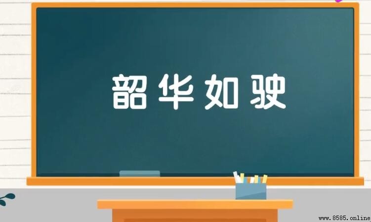 韶華如駛的意思與用法