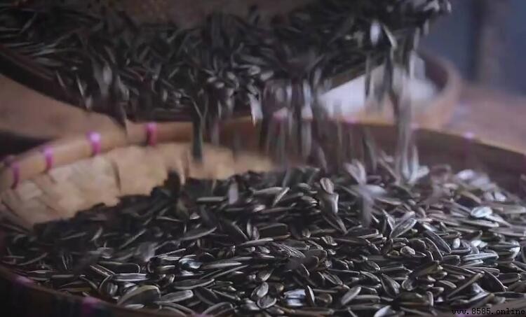 炒瓜子的熱量:營養數值與食用提醒