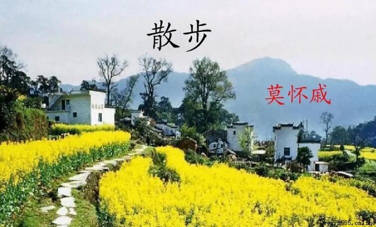 莫怀戚《散步》原文及创作背景