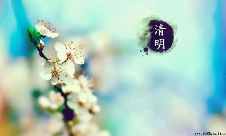清明節思念親人的句子集錦