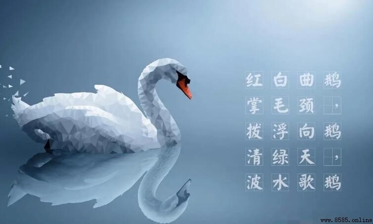 白毛浮綠水紅掌撥清波是什麼意思
