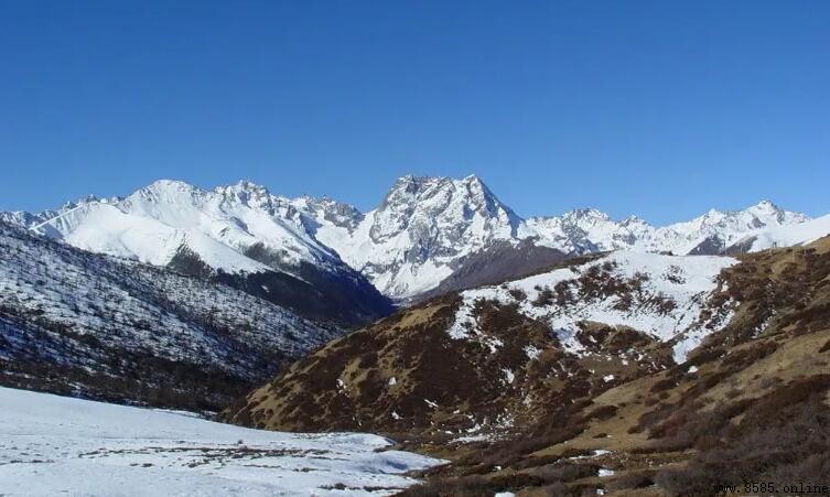 白茫雪山海拔多少米？