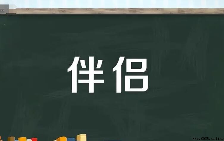 伴侶的意思