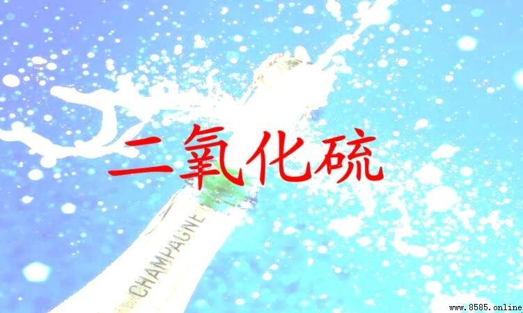 二氧化硫是什麼?解析其性質、來源與食品應用