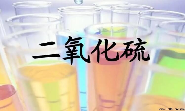 二氧化硫與水反應生成什麼？