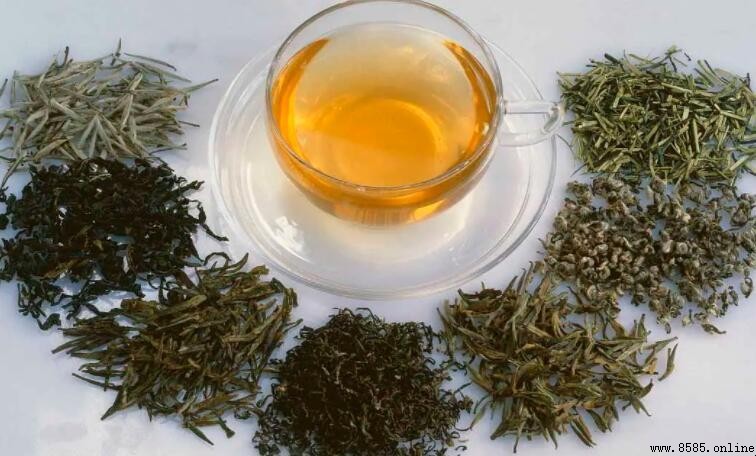 半發酵茶與全發酵茶的主要差異