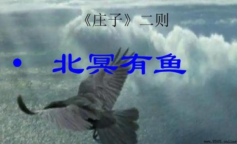 《北冥有魚》表達了作者什麼情感