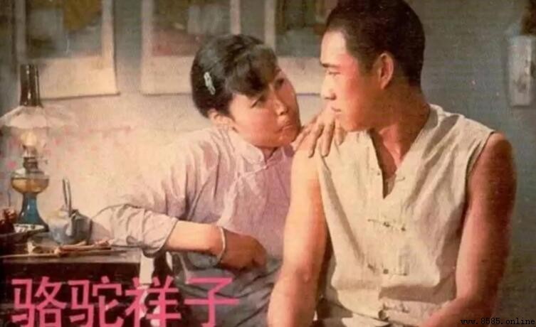 《骆驼祥子》中的夏太太人物形象解析