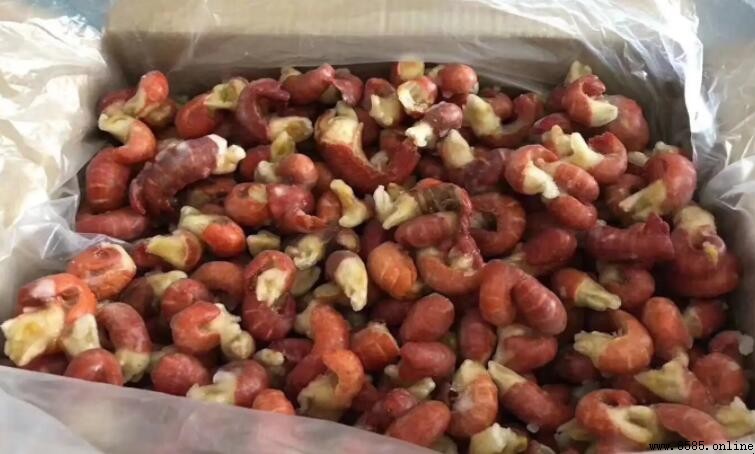 為什麼市售的小龍蝦尾多為熟凍？