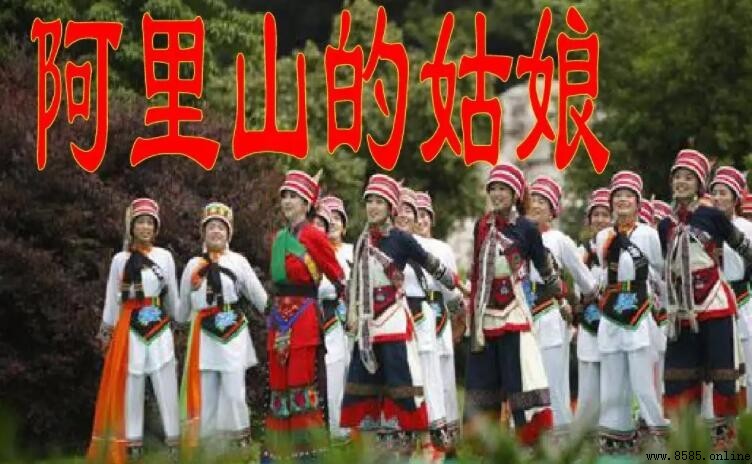 《阿裡山的姑娘》是哪個少數民族的民歌?