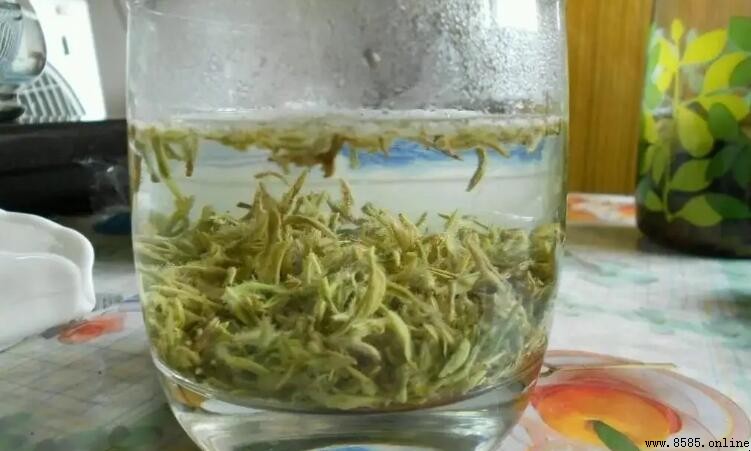 泡碧螺春的最佳水温是多少?