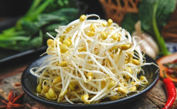 豆芽過夜怎麼保存才新鮮？三種實用方法大公開