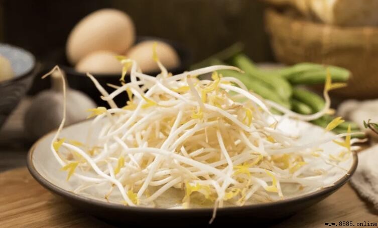 豆芽發芽了還能吃嗎?營養價值與食用安全性解析