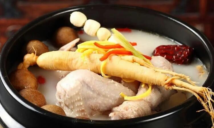 公雞可以炖湯嗎？公雞湯的做法與注意事項