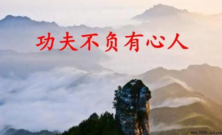 功夫不负有心人：最美麗句子集結與堅持的力量