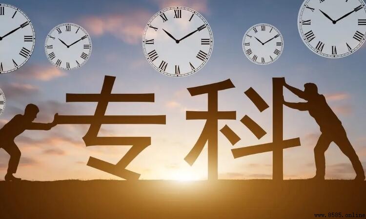 大專公辦與民辦的主要差異
