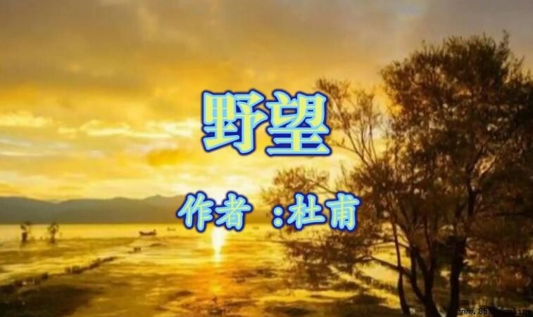 杜甫《野望》表達了作者什麼樣的思想感情