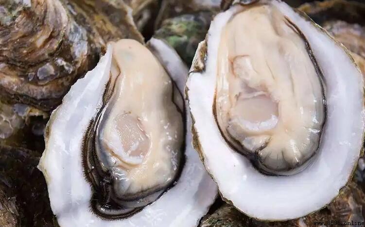 海蠟子蒸多久能熟?4種情況對應時間大公開
