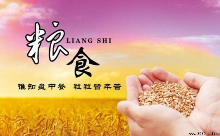 如何撰写节约粮食的作文