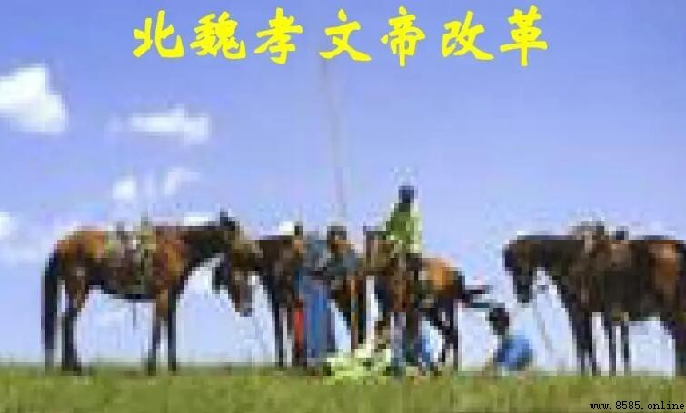 孝文帝改革的性質是什麼