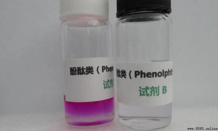 酚酞遇鹼變什麼顏色？解答在此