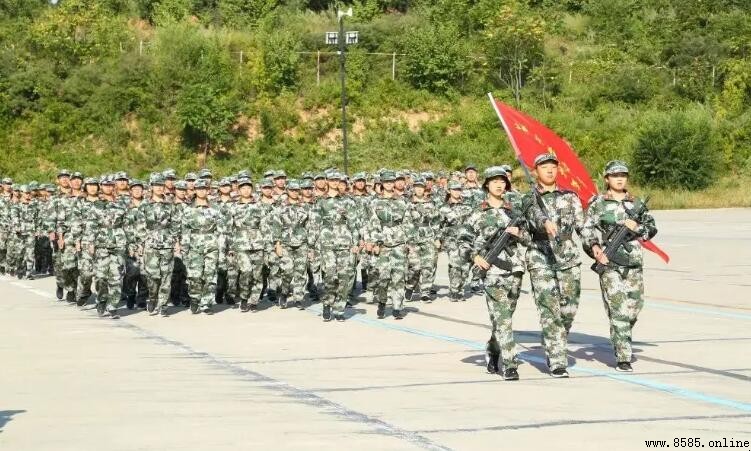 軍訓手抄報內容撰寫指南