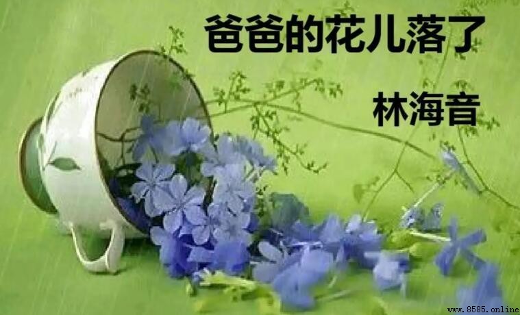 《爸爸的花兒落了》屬於什麼文體