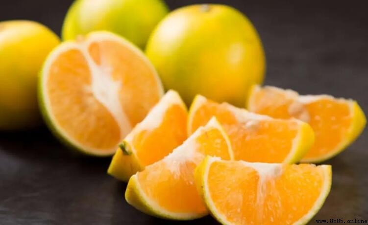 柳丁是什麼？全面解析柳橙的來源與特點