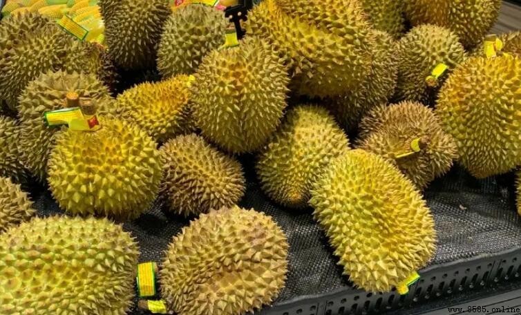 榴蓮上火還是降火?營養價值與食用注意事項解析