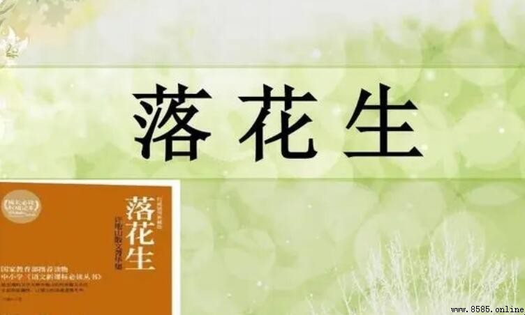 《落花生》讀後感怎麼寫