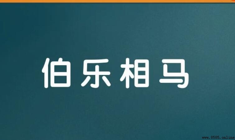 伯樂相馬造句指南:語義與實用例句解析