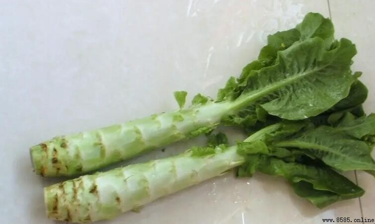 莴苣如何保存：完整指南