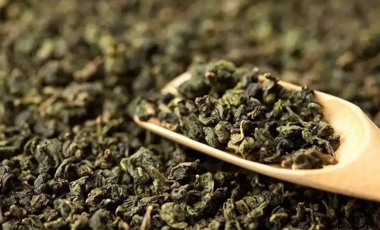 烏龍茶性質解析：中性茶品及其健康益處