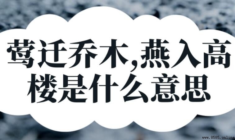 「莺迁乔木，燕入高楼」對聯的含義與出處解析