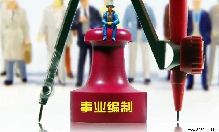 全额单位好还是差额好？事业单位优缺點解析