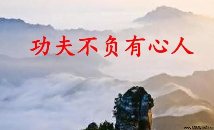 功夫不负有心人是谁说的