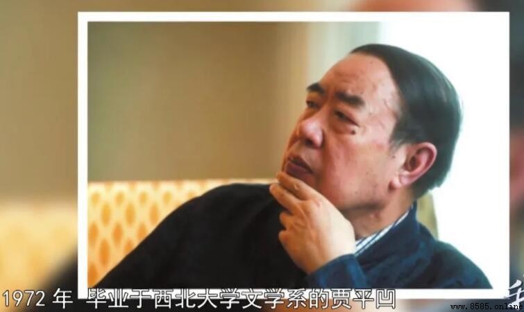 賈平凹作品集：主要著作與創作特色
