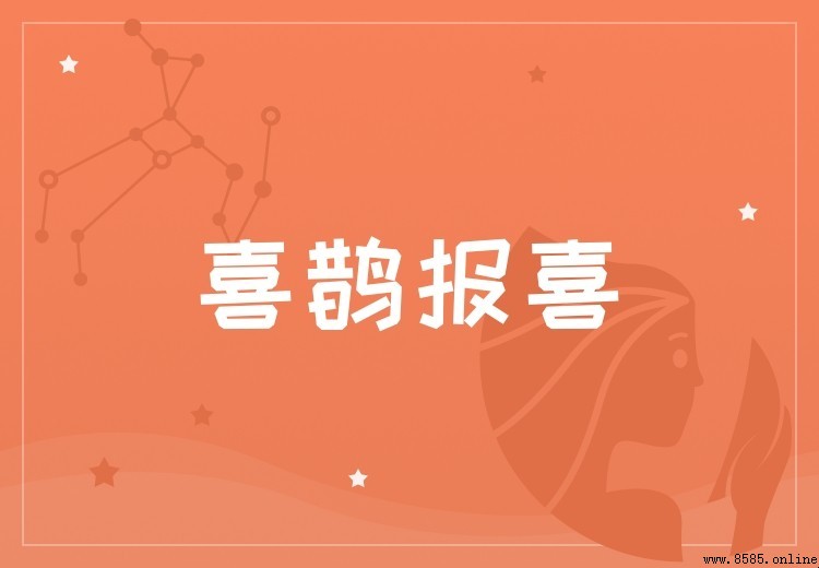波音與空客的差異比較