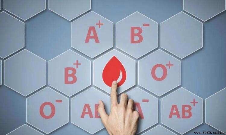 O型血為什麼被稱為「貴族血」?科學解析與健康意義