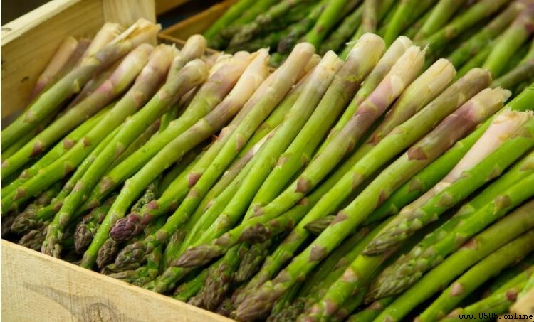 蘆筍能否冷藏保存？正確處理方法大公開