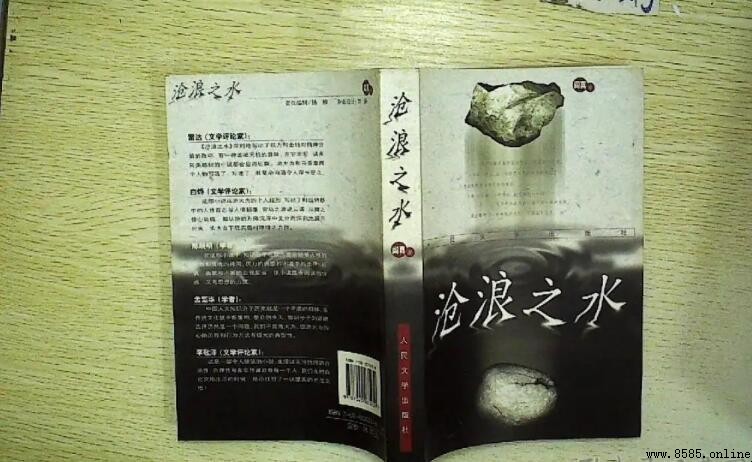 《沧浪之水》讀後感怎麼寫：真實與理想的碰撞