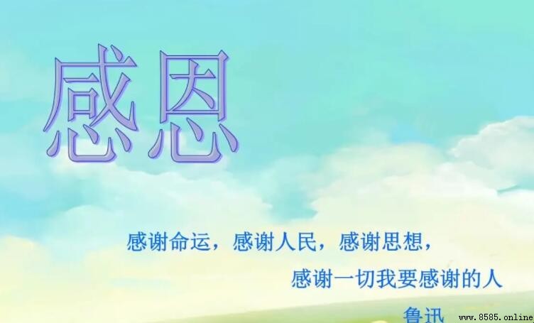 感恩的语言有哪些:表达感激的多元方式
