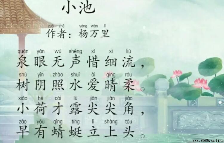 《小池》中「樹陰照水愛晴柔」的意思解析