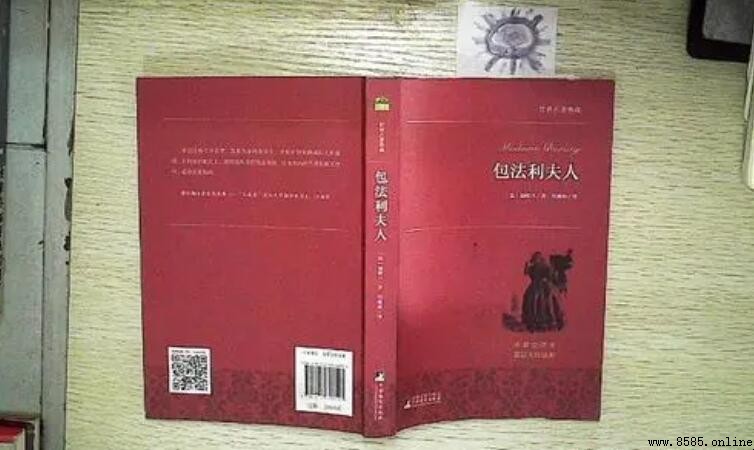 《包法利夫人》讀後感怎麼寫？深度解析與實用指南